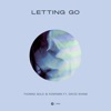 Letting Go (feat. David Shane) - Single