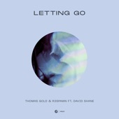 Letting Go (feat. David Shane) [Extended Mix] artwork