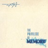 The Privilege of Memory - EP