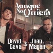 Aunque No Quiera artwork