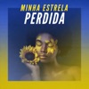 Minha estrela perdida