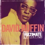 David Ruffin - Statue of a Fool