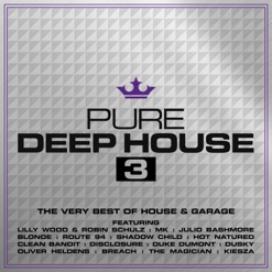 PURE DEEP HOUSE - THE VERY BEST OF cover art