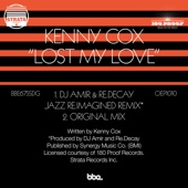 Lost My Love (DJ Amir & Re.Decay Jazz Re.Imagined Remix) artwork