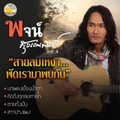 สายลมเหงาพัดเรามาพบกัน artwork