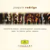 Concierto Pastoral for Flute and Orchestra: III. Rondo. Allegro - Allegretto song lyrics