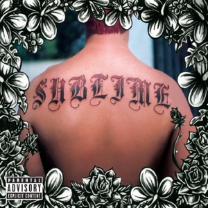 Sublime - Santeria - 排舞 音乐