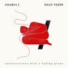 Ozan Tekin - Irresistible Call of a Swift