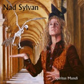 Nad Sylvan - The Hawk