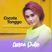 Cocote Tonggo by Arlida Putri - cover art