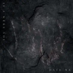 Hate Me (feat. Ryan Kirby) - Single by If I Were You album reviews, ratings, credits