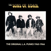 The Sons of Adam - Mister, You're A Better Man Than I