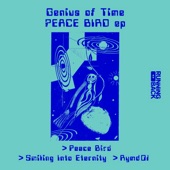 Genius Of Time - Rymd01