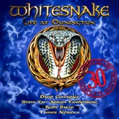 Live at Donington 1990 (30th Anniversary Complete Edition) [2019 Remaster] artwork