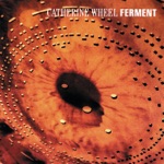 Catherine Wheel - Salt