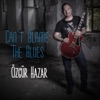 Can't Blame the Blues - Single