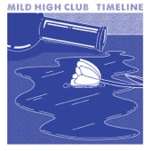 Note to Self by Mild High Club