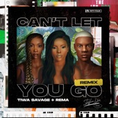 Can't Let You Go (Remix) artwork