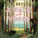 Bill Bryson - A Walk In The Woods (Abridged)