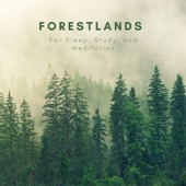Forestlands for Sleep Study and Meditation - EP artwork