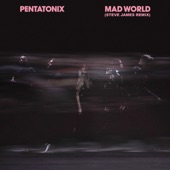 Mad World (Steve James Remix) artwork