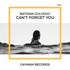 Can't Forget You - Single