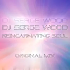 Reincarnating Soul - Single by DJ Serge Wood album reviews, ratings, credits