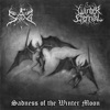 Sadness of the Winter Moon - EP