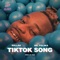 TikTok Song (feat. Mr. Polska & Puri) - ROLLÀN lyrics