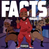 Shake It (Facts) artwork