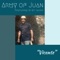 Vicente (feat. 16-Bit Audio) - Army Of Juan lyrics
