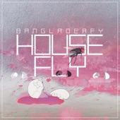 Housefly artwork