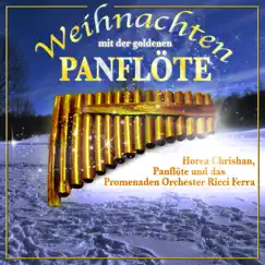 Oh Tannenbaum (Panflöte und Orchester) Song Lyrics