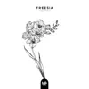 Freesia - Single album lyrics, reviews, download