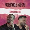 Imune (Acústico) - Single, 2021