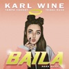 Baila by Karl Wine iTunes Track 3