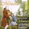 Violin Sonata in D Major, K. 29: I. Allegro Molto artwork
