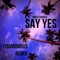 Say Yes - Mikey Pauker lyrics
