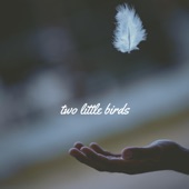 Lukewarm - Two Little Birds