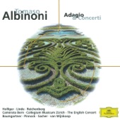 Concerto in G Major for Recorder, Strings and Continuo: I. Allegro artwork