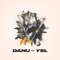 Y$L - DANU lyrics