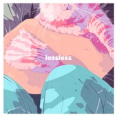 Lossless artwork