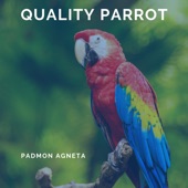 Quality Parrot artwork