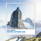 Never Letting Go artwork