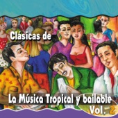 Clásicas de la Música Tropical y Bailable, Vol. 2 artwork