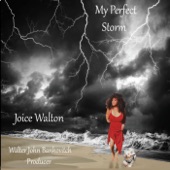 Joice Walton - Perfect Storm