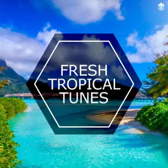 Fresh Tropical Tunes (feat. Tyler Sjöström, Bertrand Lacoste & Alex Naz) by Sterkøl, Axero, Luka Krajina, Kurii, MindlessFate, Dave Erpson, Mi.ch & Jesús Muñoz album reviews, ratings, credits