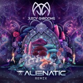 Juicy Shrooms (Alienatic Remix) artwork