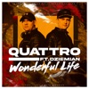 Wonderful Life (feat. Dziemian) - Single