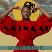 Coming Home - Single